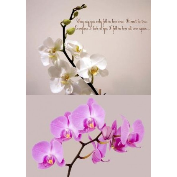 Декупажная карта А4 DDKM0908 / № DDKM0908 Декупажная карта А4 DDKM0908 / № DDKM0908