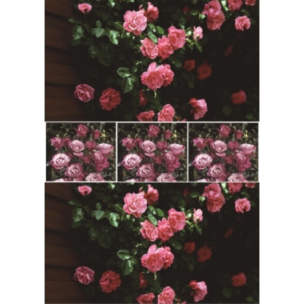 Декупажная карта А4 DDKM1085 / № DDKM1085 Декупажная карта А4 DDKM1085 / № DDKM1085