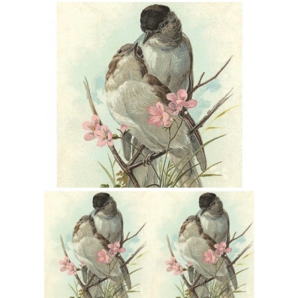 Декупажная карта А4 DDKM1082 / № DDKM1082