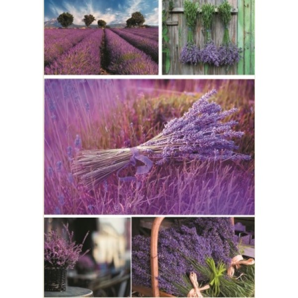 Декупажная карта А4 DDKM0447 / № DDKM0447 Декупажная карта А4 DDKM0447 / № DDKM0447