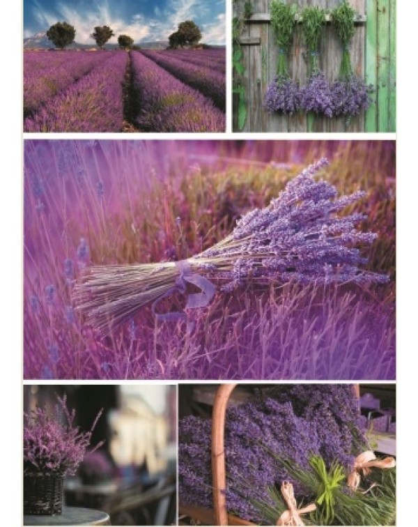 Декупажная карта А4 DDKM0447 / № DDKM0447 Декупажная карта А4 DDKM0447 / № DDKM0447