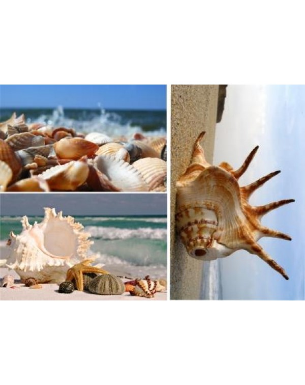 Декупажная карта DDKM0954 / № DDKM0954 Декупажная карта DDKM0954 / № DDKM0954