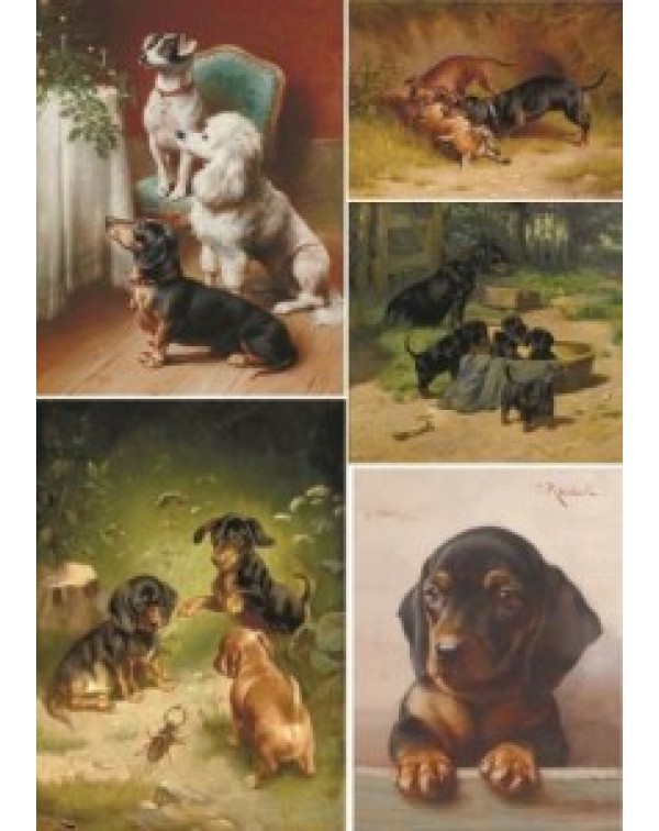 Карта для декупажа DDKM1353 / № DDKM1353 Карта для декупажа DDKM1353 / № DDKM1353