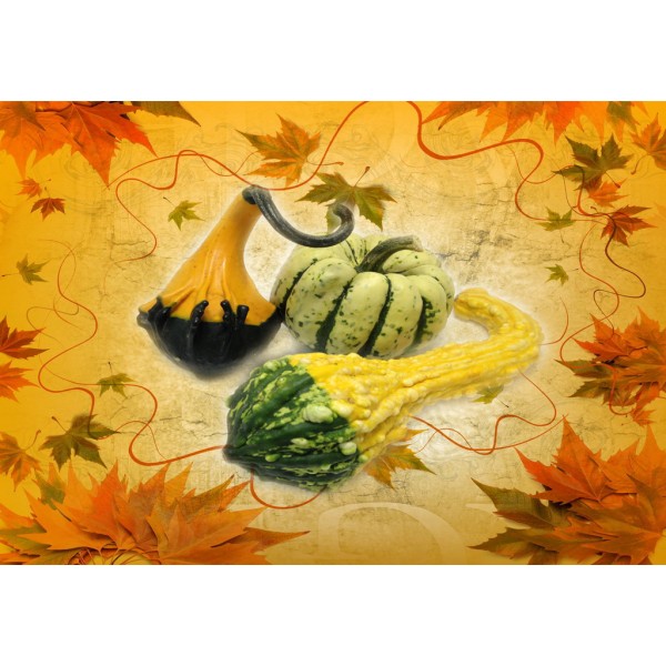 Декупажная карта А4 DDKM0462 / № DDKM0462 Декупажная карта А4 DDKM0462 / № DDKM0462