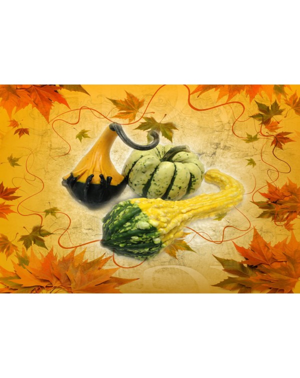 Декупажная карта А4 DDKM0462 / № DDKM0462