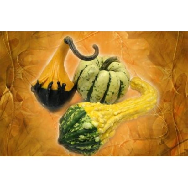 Декупажная карта А4 DDKM0457 / № DDKM0457 Декупажная карта А4 DDKM0457 / № DDKM0457