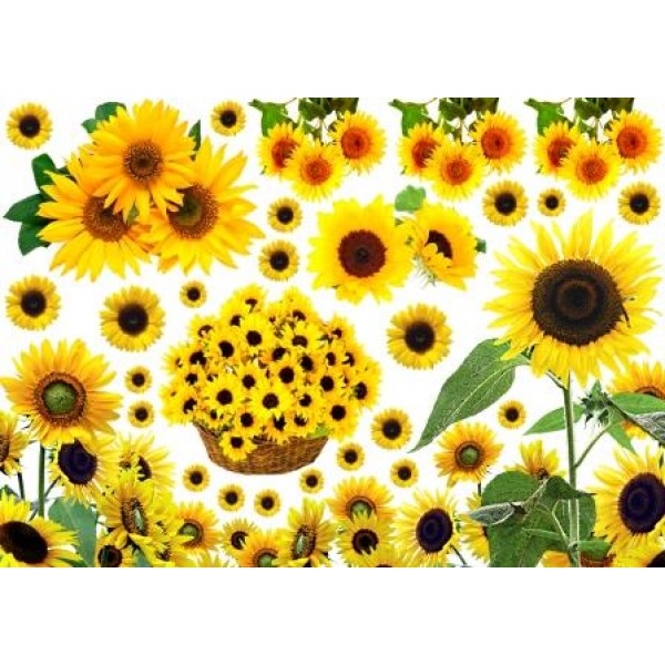 Декупажная карта А4 DDKM0625 / № DDKM0625 Декупажная карта А4 DDKM0625 / № DDKM0625