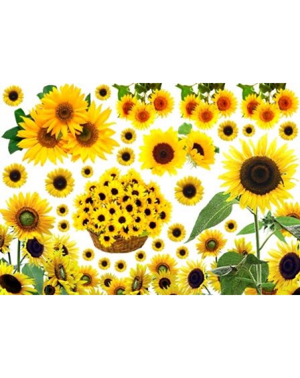 Декупажная карта А4 DDKM0625 / № DDKM0625 Декупажная карта А4 DDKM0625 / № DDKM0625