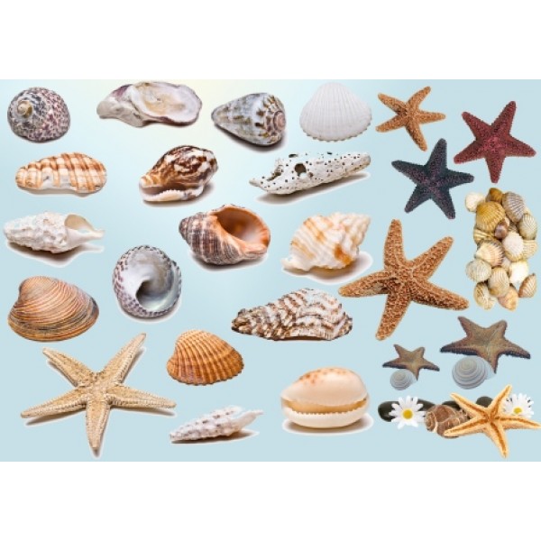 Декупажная карта DDKM0946 / № DDKM0946 Декупажная карта DDKM0946 / № DDKM0946