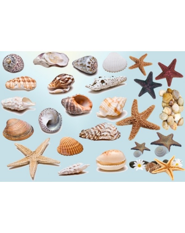 Декупажная карта DDKM0946 / № DDKM0946