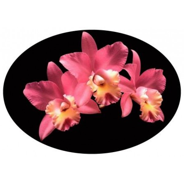 Декупажная карта А4 DDKM0911 / № DDKM0911 Декупажная карта А4 DDKM0911 / № DDKM0911