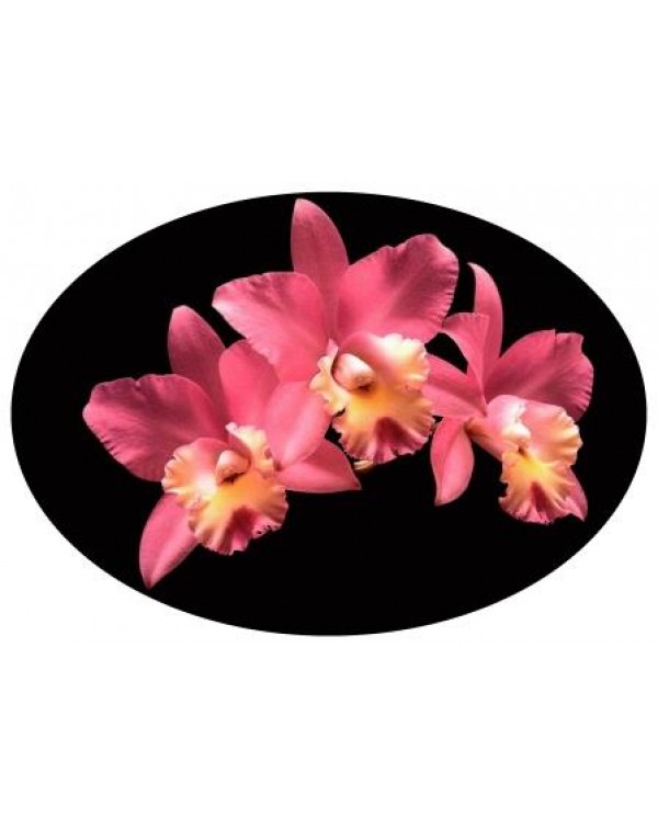 Декупажная карта А4 DDKM0911 / № DDKM0911