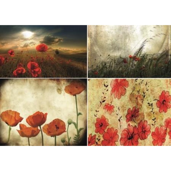 Декупажная карта DDKM0988 / № DDKM0988 Декупажная карта DDKM0988 / № DDKM0988