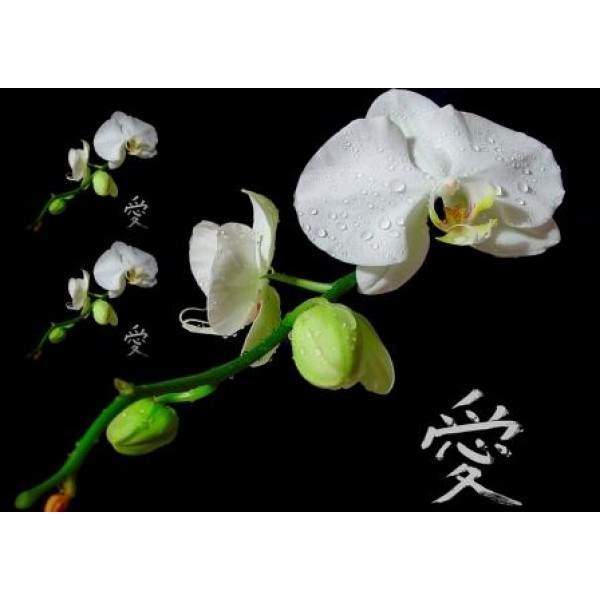 Декупажная карта А4 DDKM0431 / № DDKM0431 Декупажная карта А4 DDKM0431 / № DDKM0431