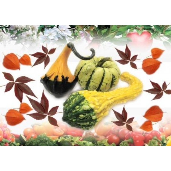 Декупажная карта А4 DDKM0458 / № DDKM0458 Декупажная карта А4 DDKM0458 / № DDKM0458