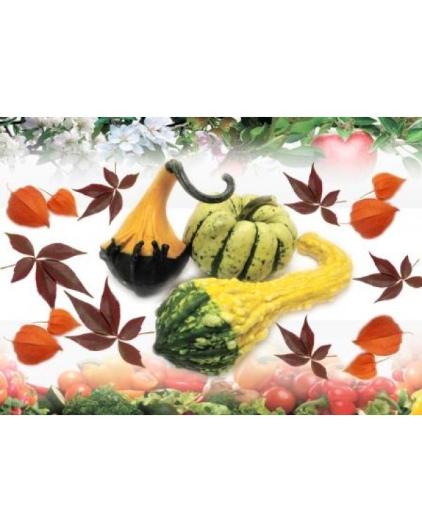 Декупажная карта А4 DDKM0458 / № DDKM0458