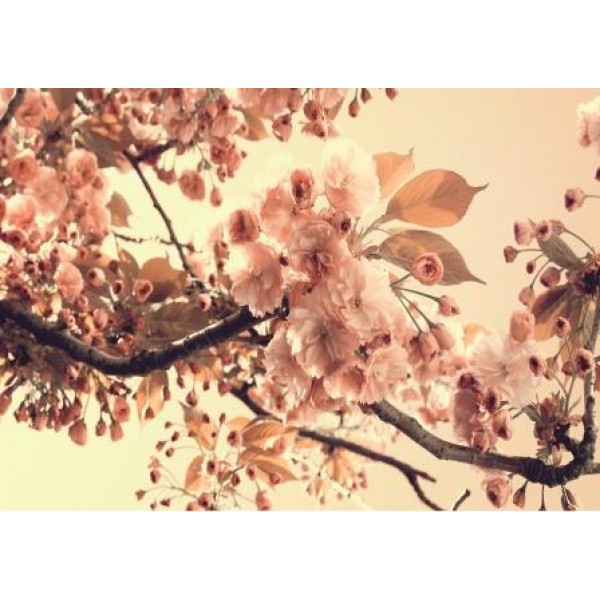 Декупажная карта DDKM0996 / № DDKM0996 Декупажная карта DDKM0996 / № DDKM0996