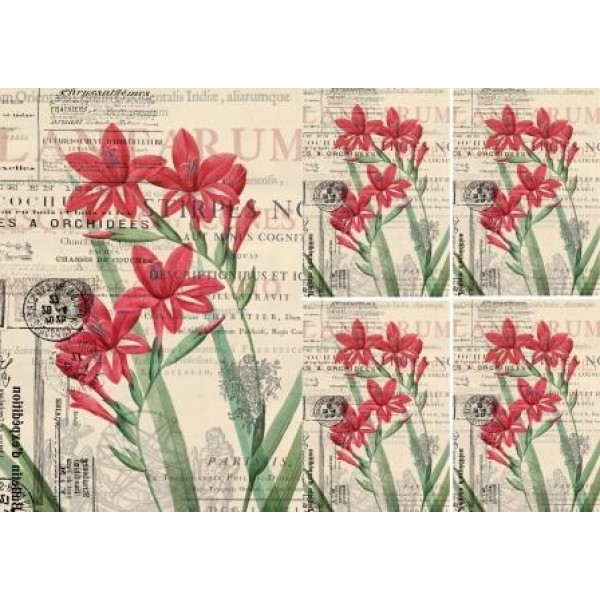 Декупажная карта А4 DDKM0867 / № DDKM0867 Декупажная карта А4 DDKM0867 / № DDKM0867