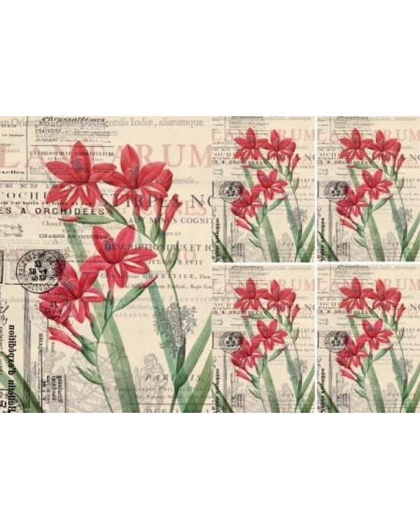 Декупажная карта А4 DDKM0867 / № DDKM0867 Декупажная карта А4 DDKM0867 / № DDKM0867