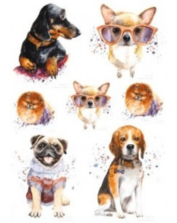 Карта для декупажа DDKM1341 / № DDKM1341 Карта для декупажа DDKM1341 / № DDKM1341