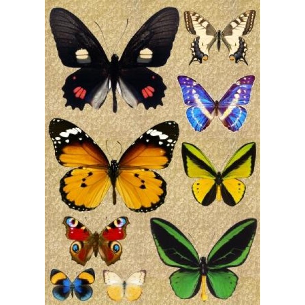 Декупажная карта DDKM1010 / № DDKM1010 Декупажная карта DDKM1010 / № DDKM1010