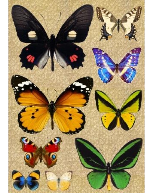 Декупажная карта DDKM1010 / № DDKM1010 Декупажная карта DDKM1010 / № DDKM1010