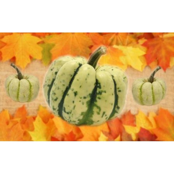 Декупажная карта А4 DDKM0454 / № DDKM0454 Декупажная карта А4 DDKM0454 / № DDKM0454