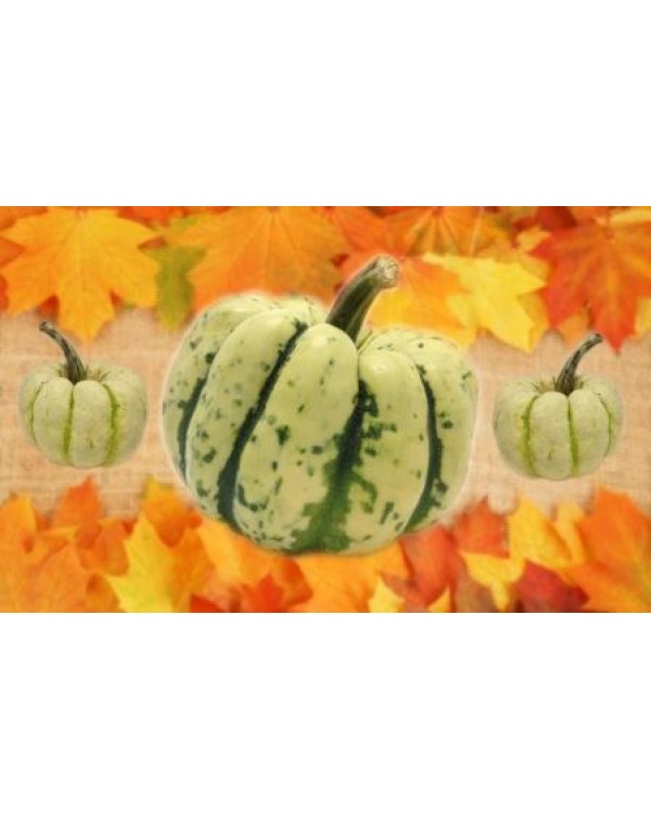 Декупажная карта А4 DDKM0454 / № DDKM0454