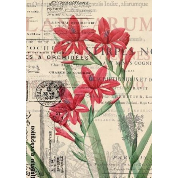 Декупажная карта А4 DDKM0866 / № DDKM0866 Декупажная карта А4 DDKM0866 / № DDKM0866