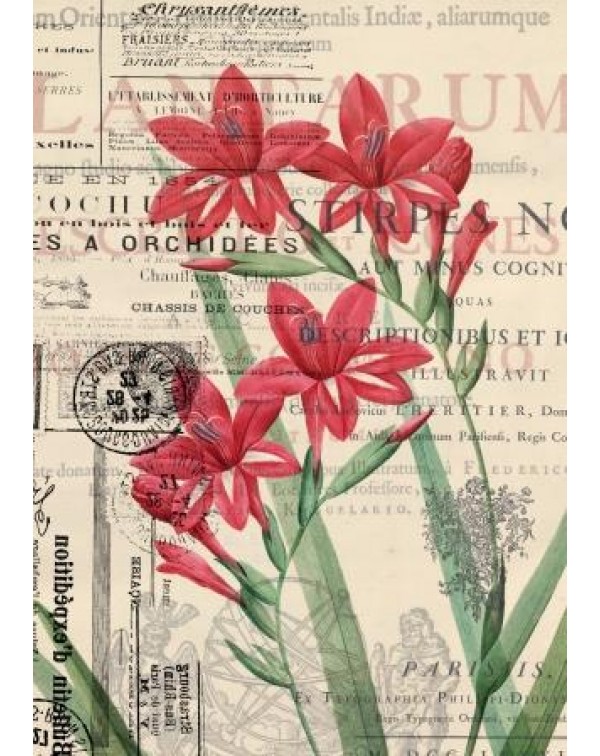 Декупажная карта А4 DDKM0866 / № DDKM0866 Декупажная карта А4 DDKM0866 / № DDKM0866