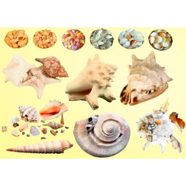 Декупажная карта DDKM0945 / № DDKM0945 Декупажная карта DDKM0945 / № DDKM0945