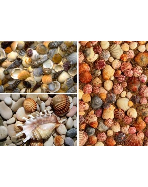 Декупажная карта DDKM0953 / № DDKM0953 Декупажная карта DDKM0953 / № DDKM0953