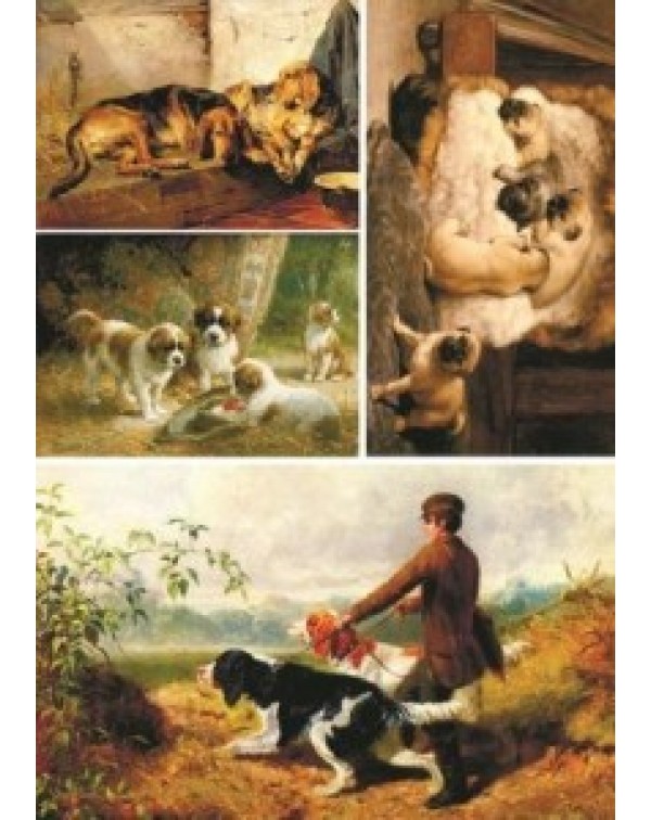 Карта для декупажа DDKM1345 / № DDKM1345 Карта для декупажа DDKM1345 / № DDKM1345