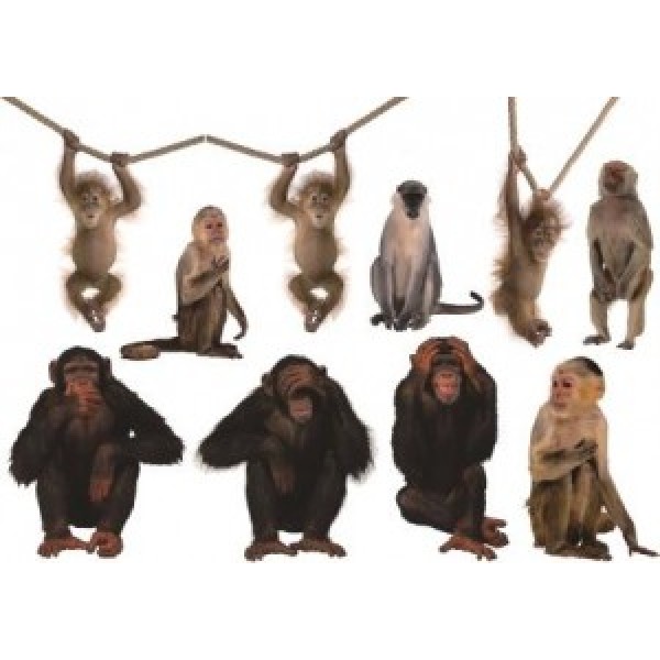 Декупажная карта DDKM1081 / № DDKM1081 Декупажная карта DDKM1081 / № DDKM1081