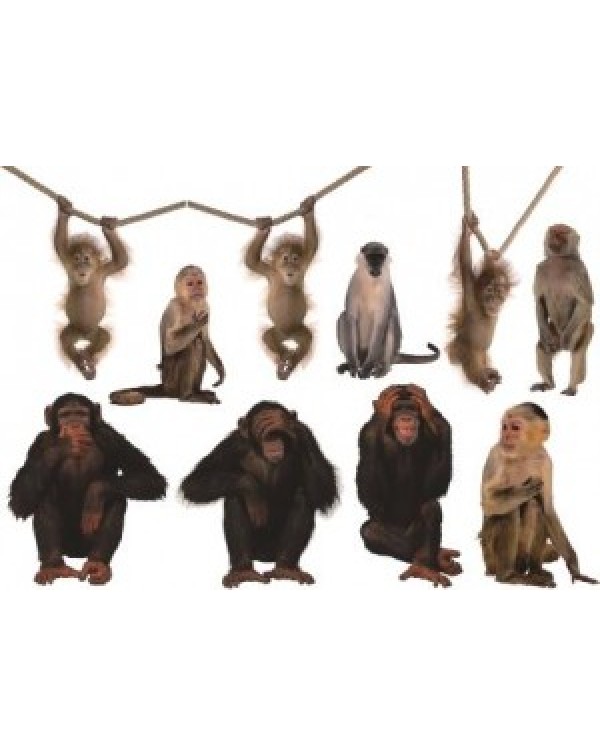 Декупажная карта DDKM1081 / № DDKM1081