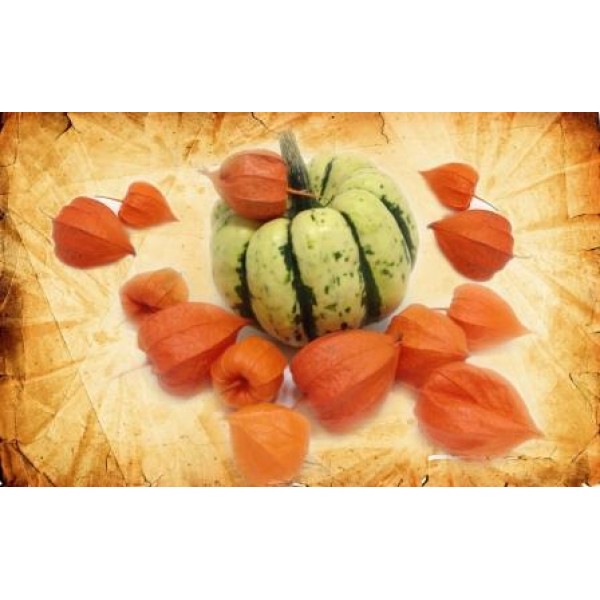 Декупажная карта А4 DDKM0456 / № DDKM0456 Декупажная карта А4 DDKM0456 / № DDKM0456