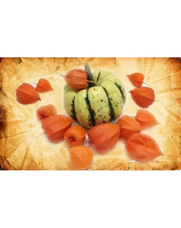 Декупажная карта А4 DDKM0456 / № DDKM0456