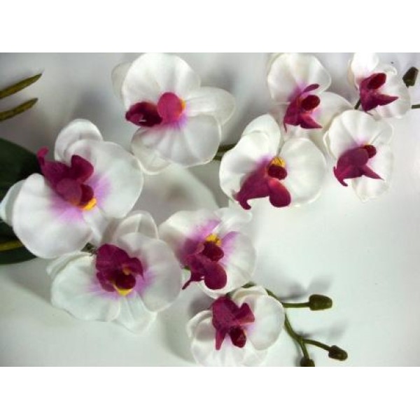 Декупажная карта А4 DDKM0430 / № DDKM0430 Декупажная карта А4 DDKM0430 / № DDKM0430