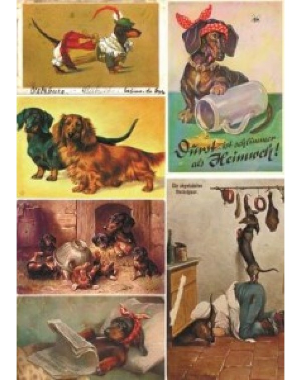 Карта для декупажа DDKM1334 / № DDKM1334