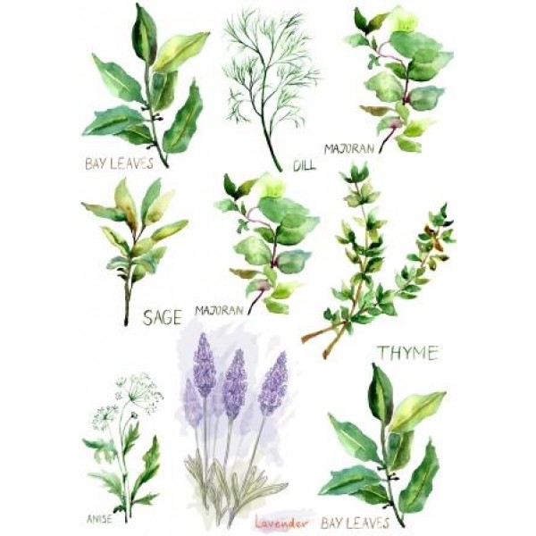 Декупажная карта А4 DDKM0826 / № DDKM0826 Декупажная карта А4 DDKM0826 / № DDKM0826