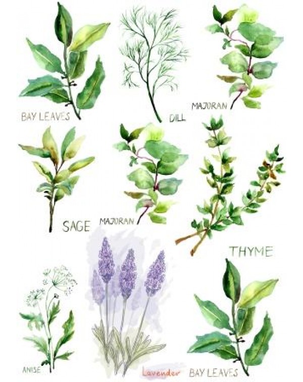 Декупажная карта А4 DDKM0826 / № DDKM0826 Декупажная карта А4 DDKM0826 / № DDKM0826