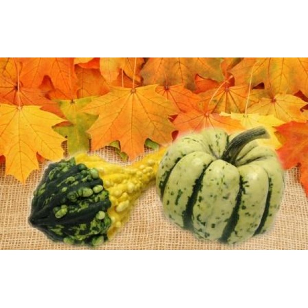 Декупажная карта А4 DDKM0452 / № DDKM0452 Декупажная карта А4 DDKM0452 / № DDKM0452