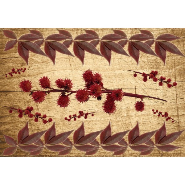 Декупажная карта А4 DDKM0459 / № DDKM0459 Декупажная карта А4 DDKM0459 / № DDKM0459