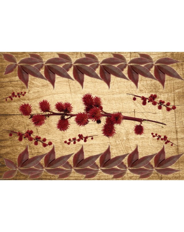 Декупажная карта А4 DDKM0459 / № DDKM0459