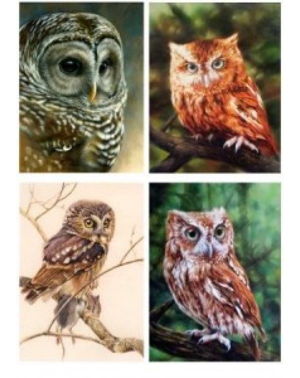 Декупажная карта А4 DDKM1117 / № DDKM1117 Декупажная карта А4 DDKM1117 / № DDKM1117