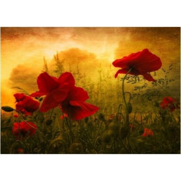 Декупажная карта А4 DDKM0365 / № DDKM0365 Декупажная карта А4 DDKM0365 / № DDKM0365