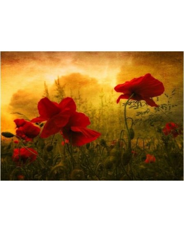 Декупажная карта А4 DDKM0365 / № DDKM0365 Декупажная карта А4 DDKM0365 / № DDKM0365