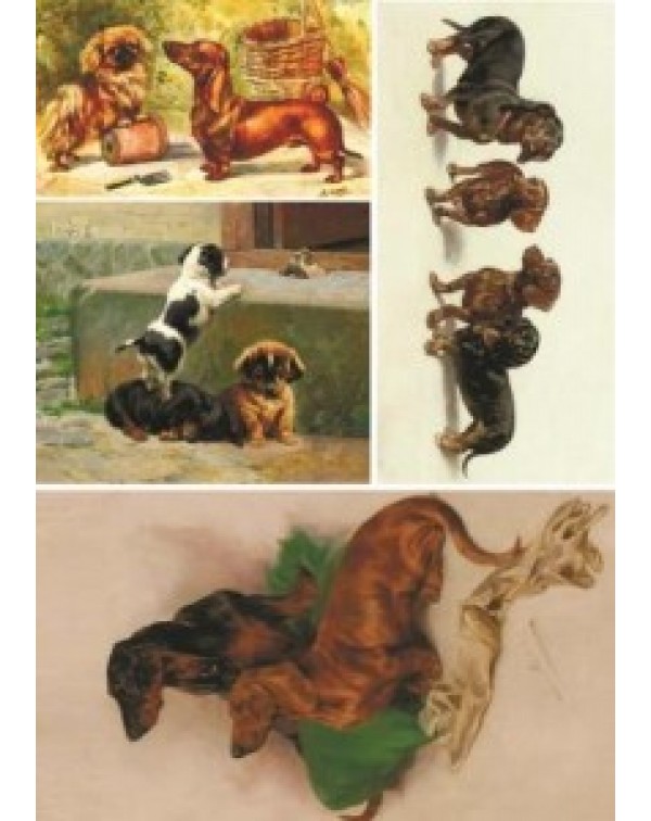 Карта для декупажа DDKM1333 / № DDKM1333 Карта для декупажа DDKM1333 / № DDKM1333