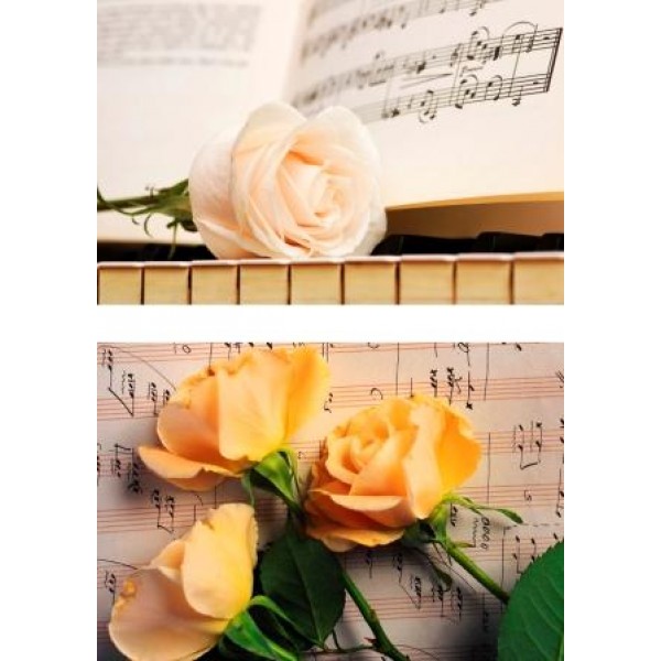 Декупажная карта А4 DDKM0560 / № DDKM0560 Декупажная карта А4 DDKM0560 / № DDKM0560