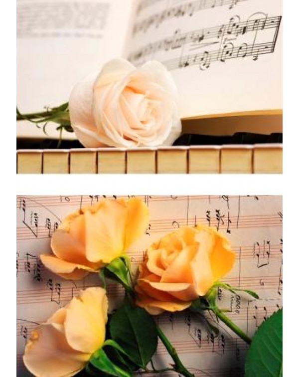 Декупажная карта А4 DDKM0560 / № DDKM0560 Декупажная карта А4 DDKM0560 / № DDKM0560